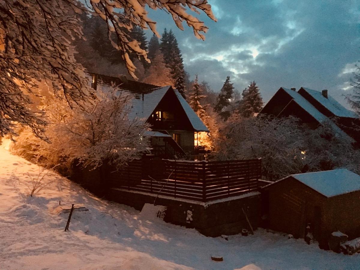 Soho Lodge Rasnov 外观 照片