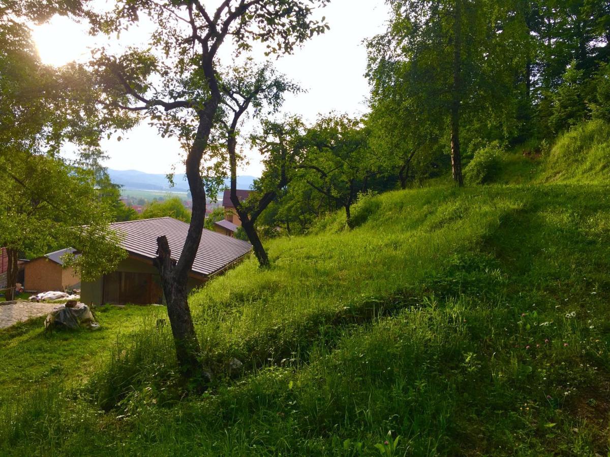 Soho Lodge Rasnov 外观 照片