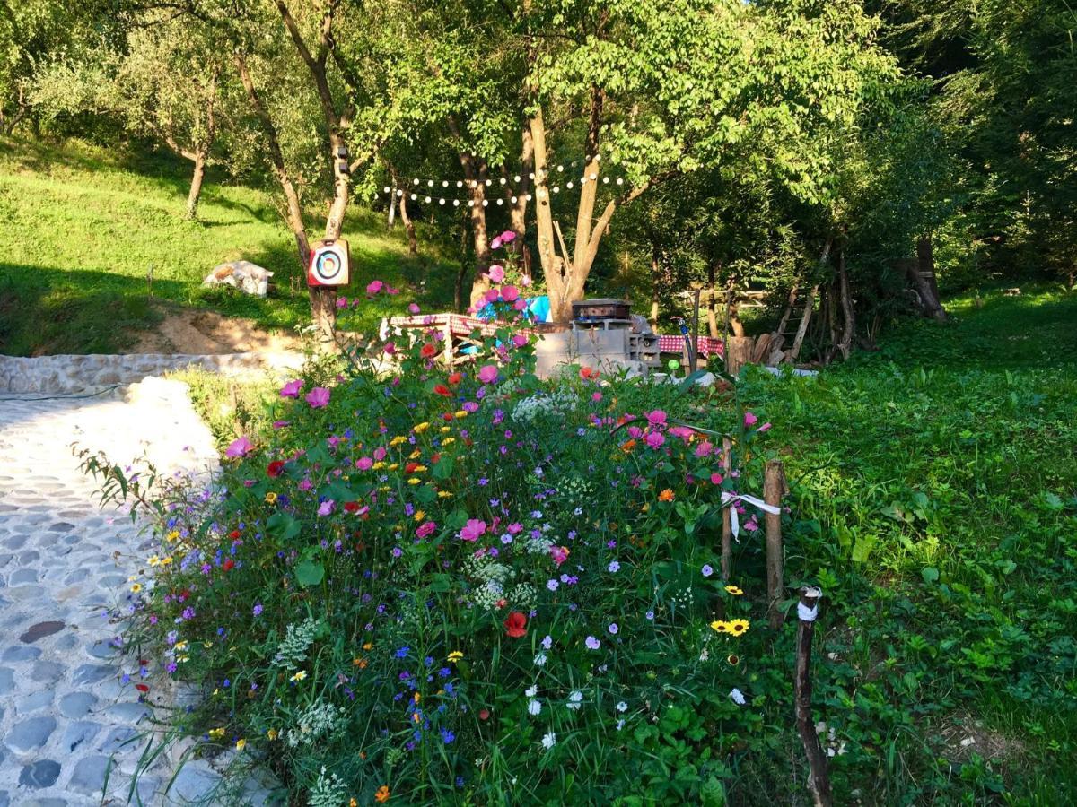 Soho Lodge Rasnov 外观 照片