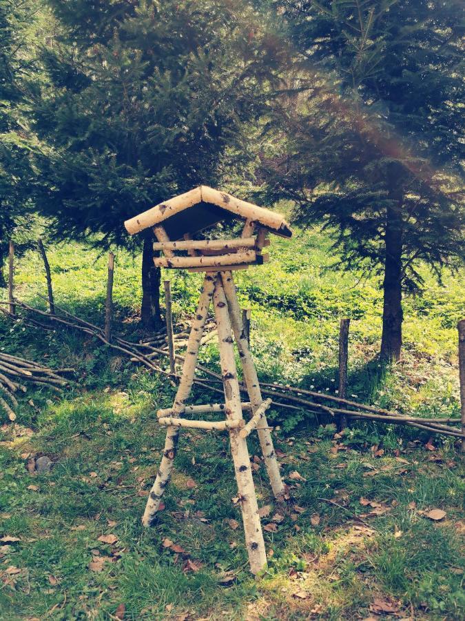 Soho Lodge Rasnov 外观 照片