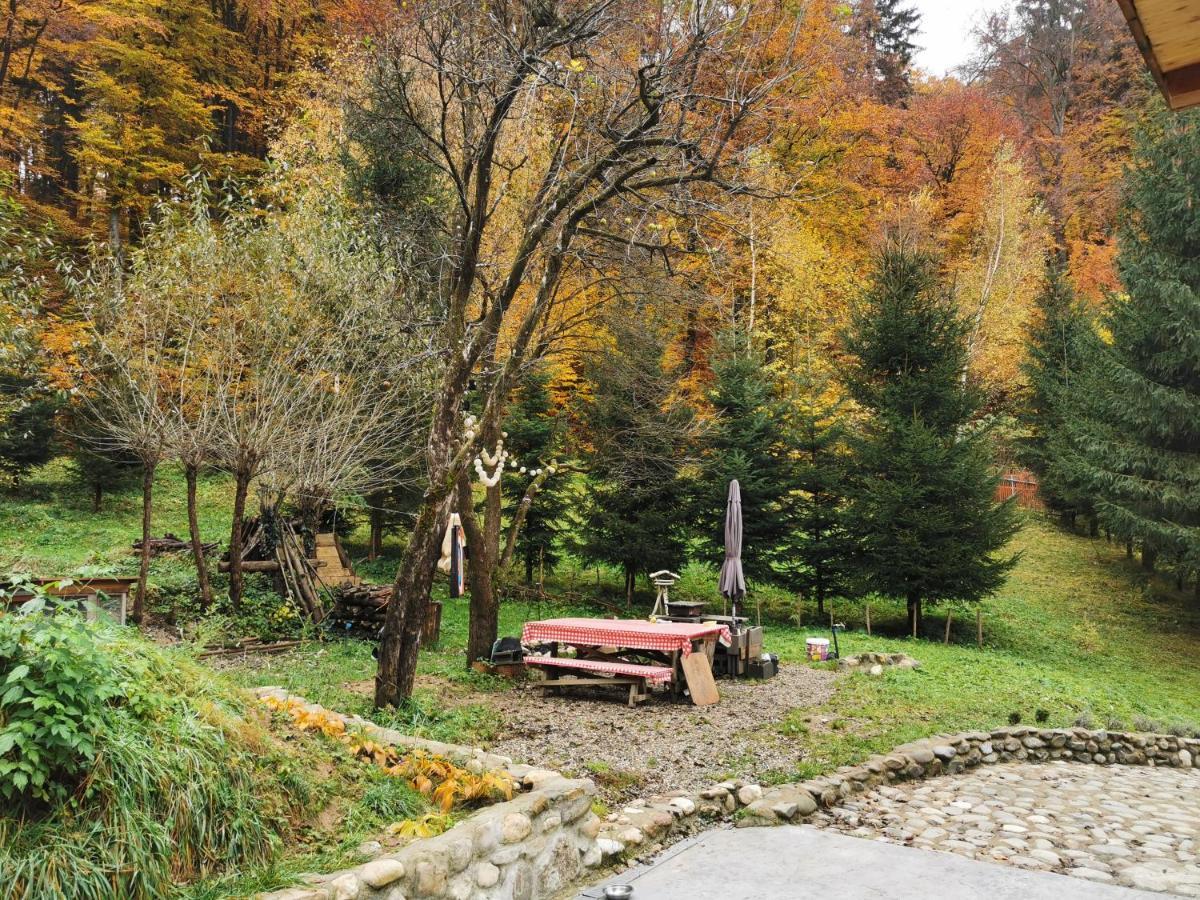 Soho Lodge Rasnov 外观 照片