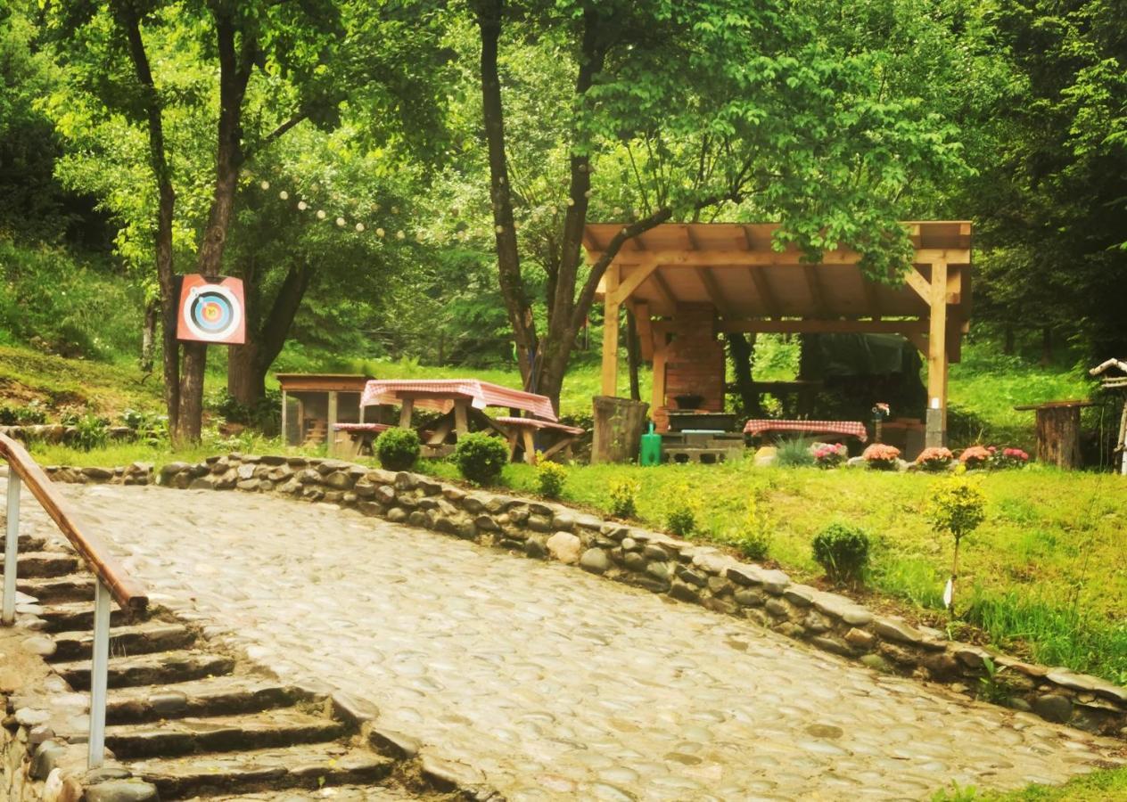 Soho Lodge Rasnov 外观 照片