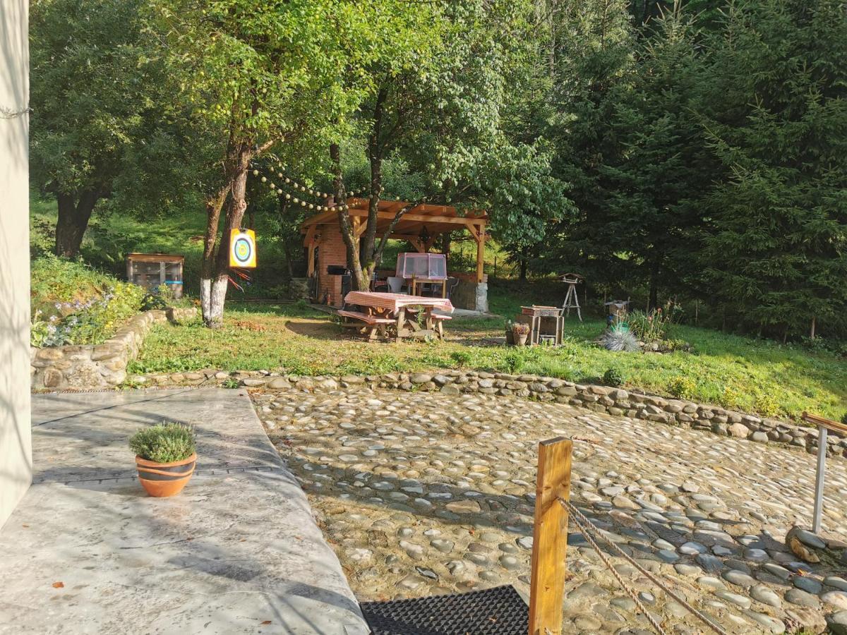 Soho Lodge Rasnov 外观 照片
