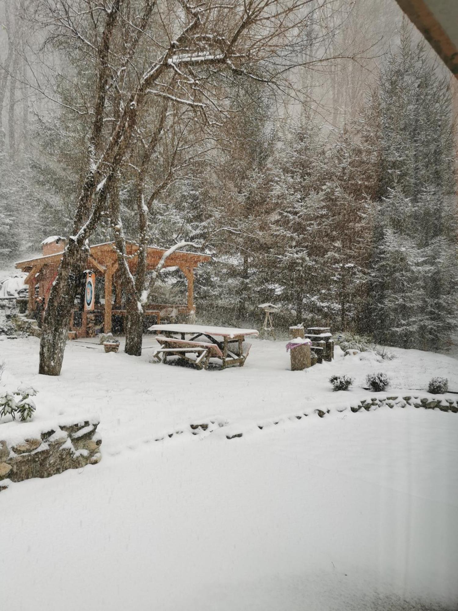Soho Lodge Rasnov 外观 照片