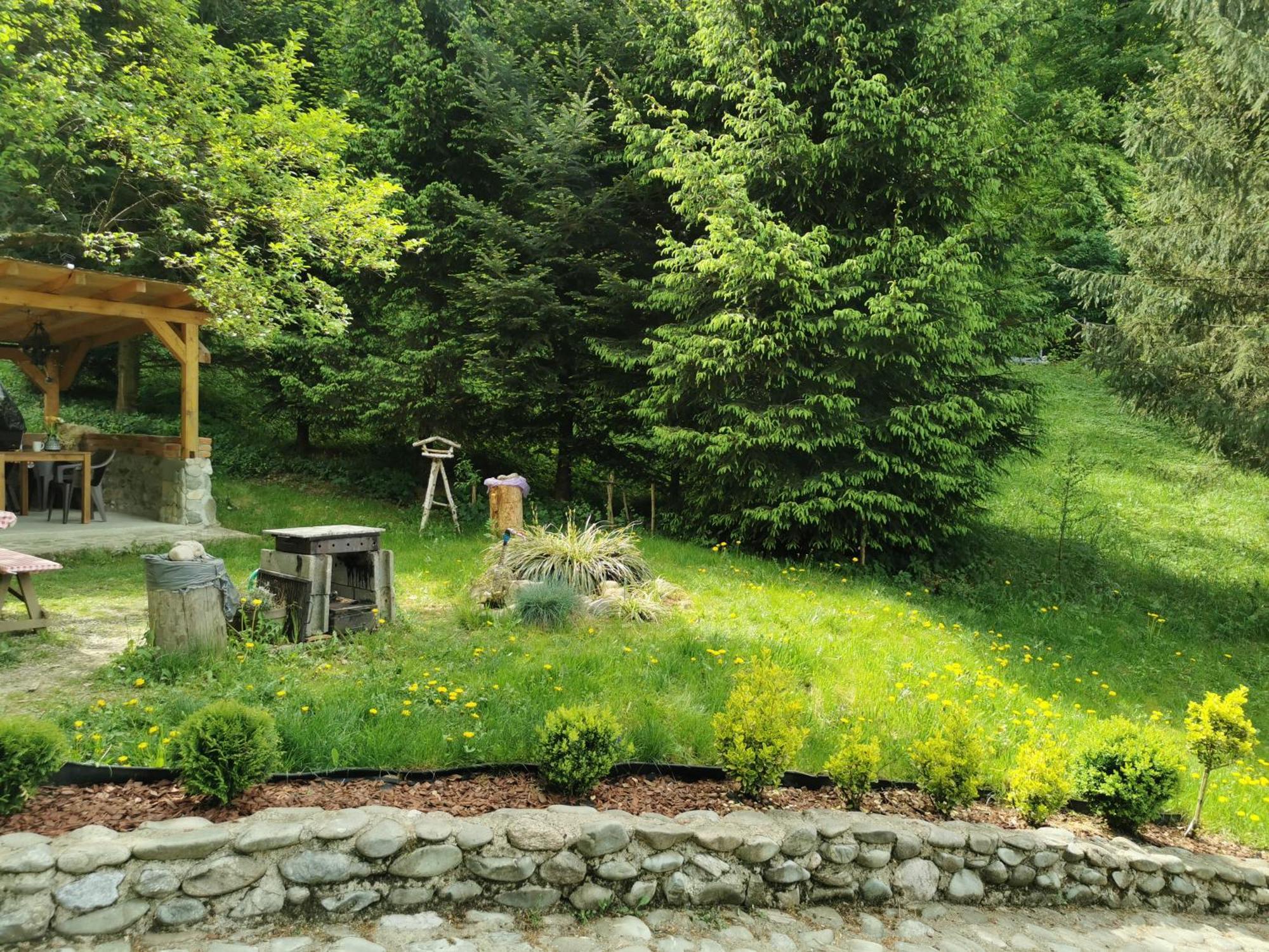 Soho Lodge Rasnov 外观 照片